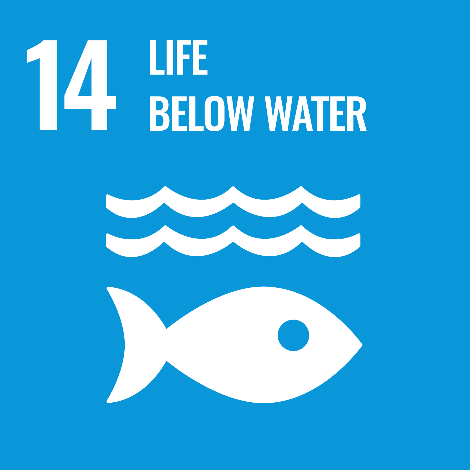 SDG 4